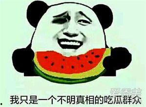 网络上的吃瓜是什么意思,“吃瓜”背后的真相与趣味